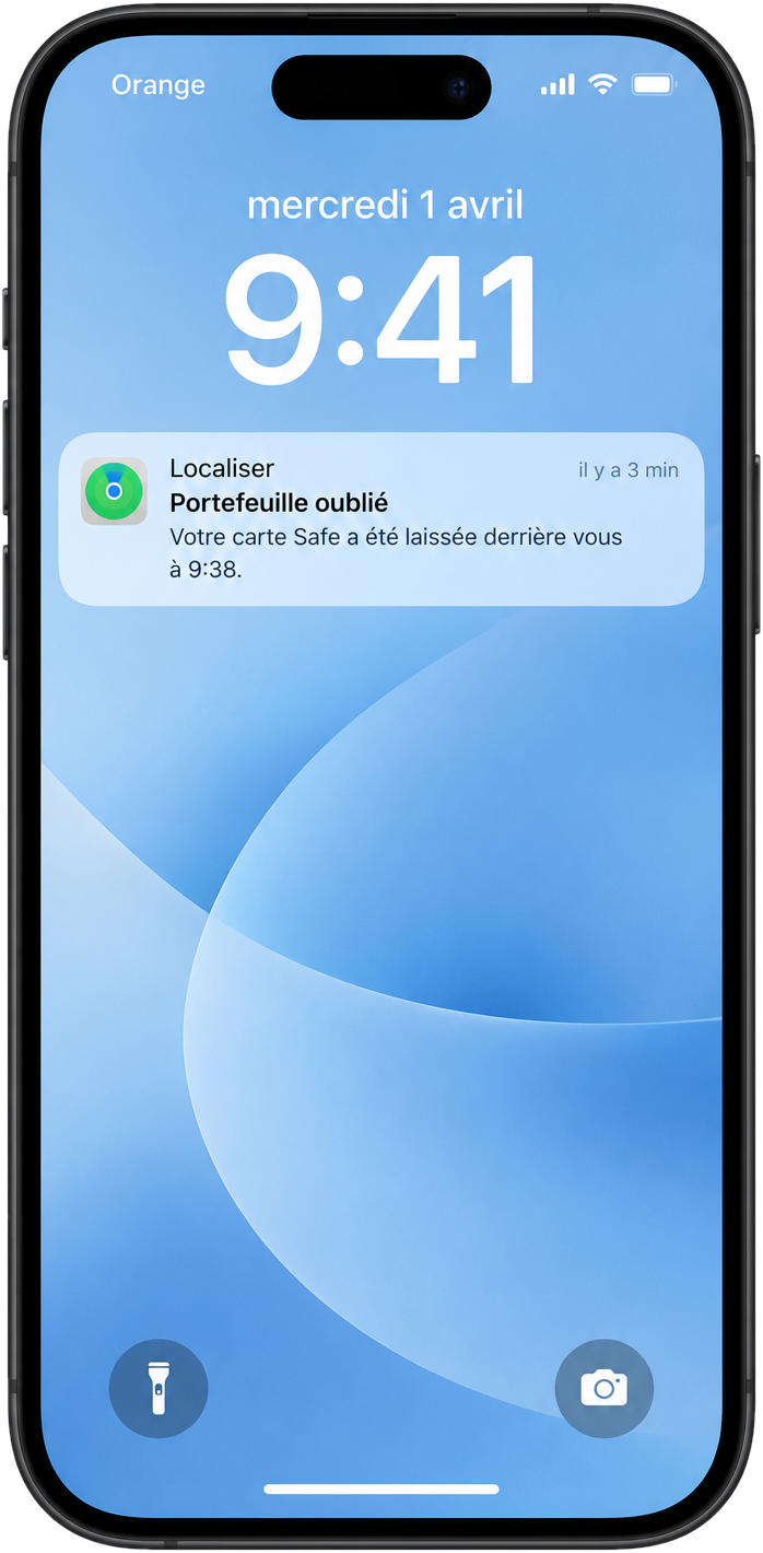 Carte Safe